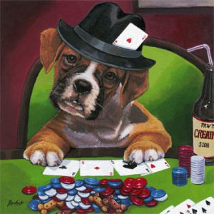 poker dog